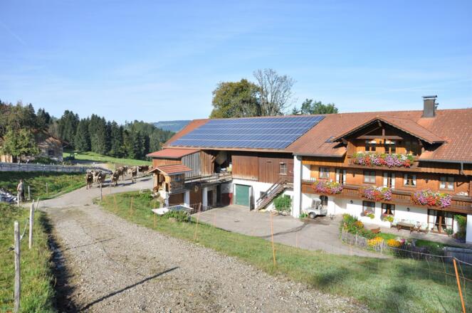 Im Herbst