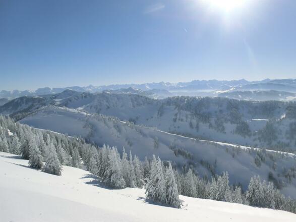 Ausblick vom Hochgrat