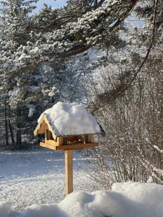 Winterimpressionen 6