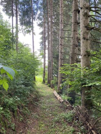 Waldweg Haus CHRISTOPHORUS