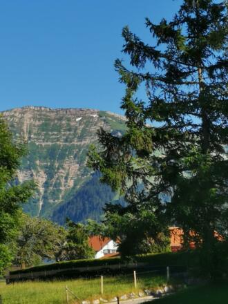 Hochgratblick vom Balkon