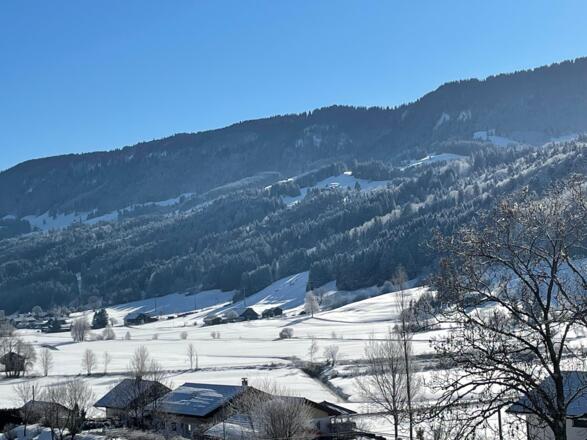 Blickrichtung Thalkirchdorf