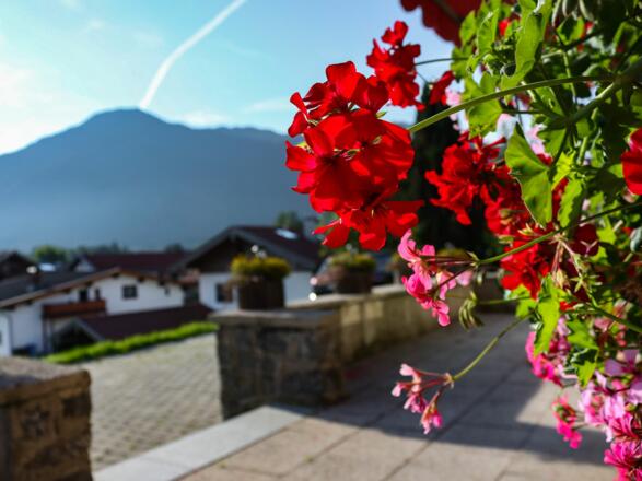 Ferienwohnungen Buchbergerhof in Rottach-Egern - Ausblick zum Wallberg