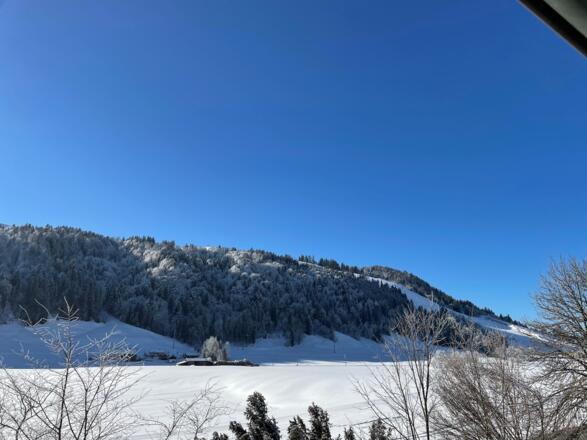 Blickrichtung Hündle