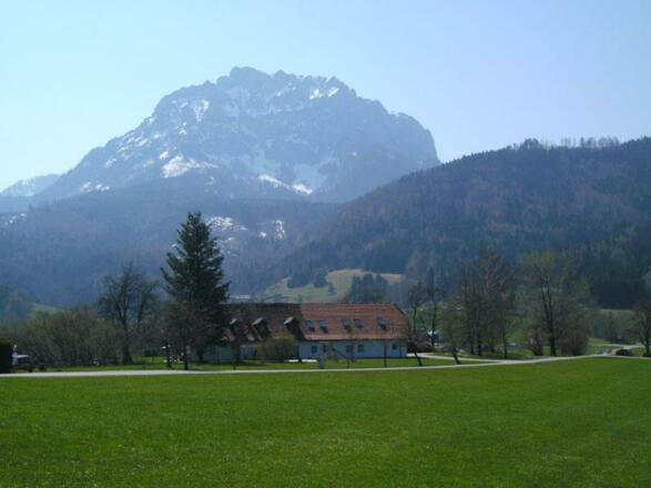 BILD0647-Bauer-im-Schlag