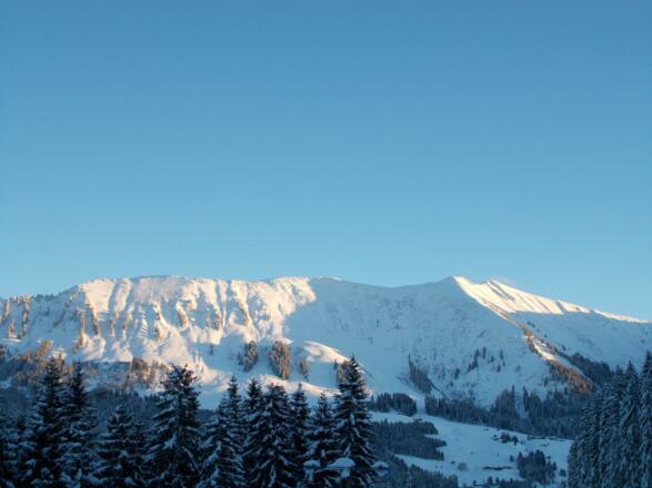 BerghofFelder-Fellhorn
