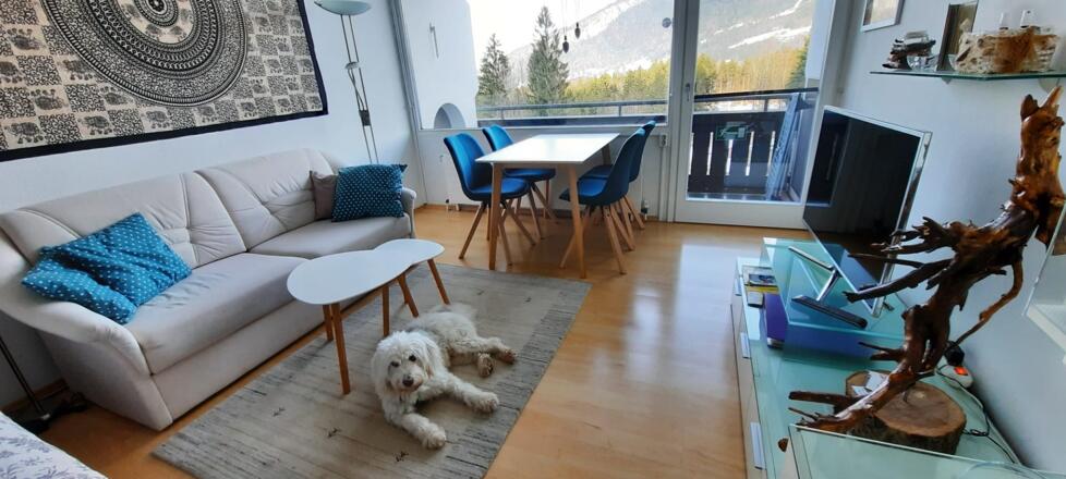 Esstisch im Lebensfreude Appartement in Bad Goisern am Hallstättersee