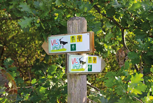 Richtungshinweise Naturerlebnisweg Vilsaue