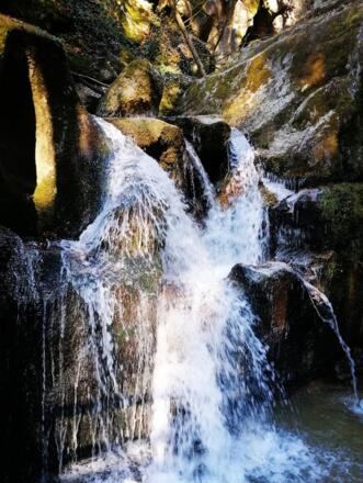 WolfsschluchtWasserfall_MariaA