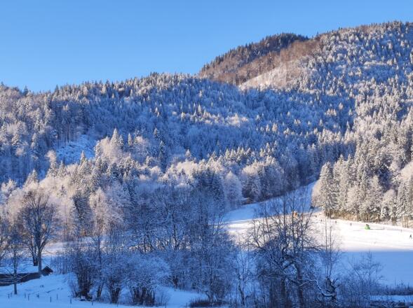 Der Hirschberglift in unmittelbarer Nähe, gerne auch zu Fuß erreichbar, ca. 300 Meter vom Haus entfernt