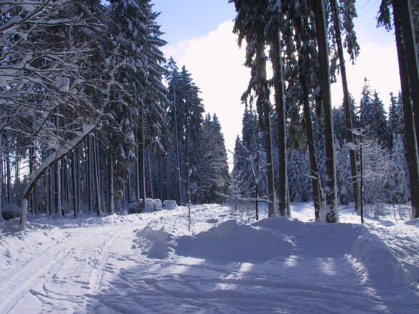 S02_Foto_Rosenhoferteich