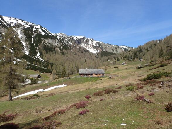 Im Weißpriachtal
