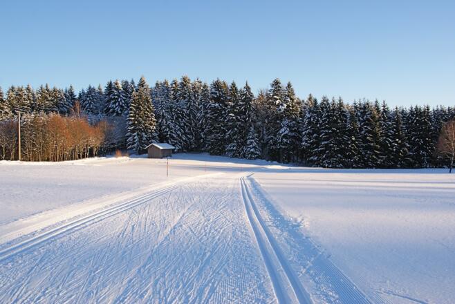 Tannenbaum-Flachstück