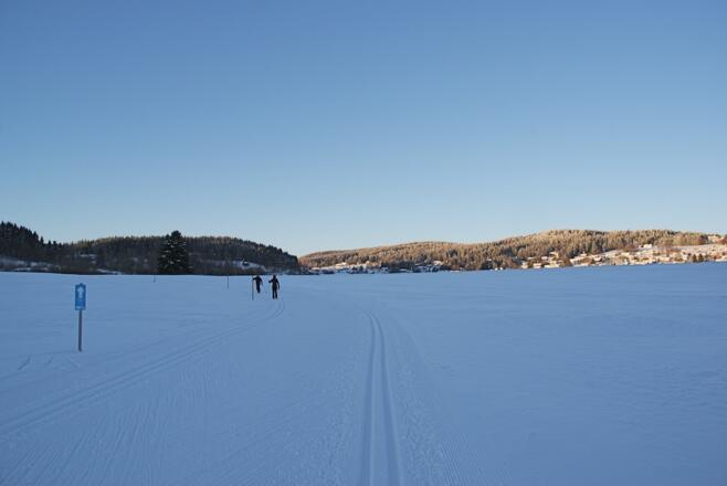 Leichter Anstieg zum Tannenbaum