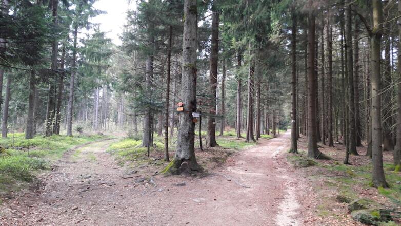 Weggabelung nach dem Riedernkreuz - links verläuft der Rundweg