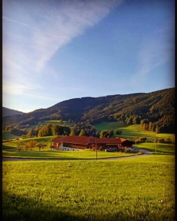 Bergblick