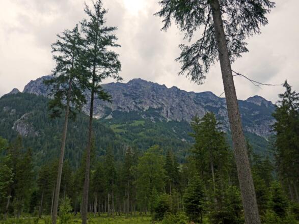 Am Fuße der Reiteralm