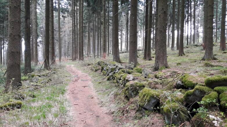 Steig auf Hadriwa-Höhe mit Steinmauern eines früheren Anwesens