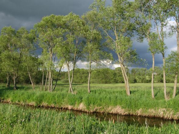Grenzfluss Maltsch