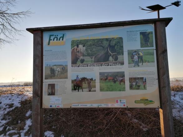 Födroas Katzing_Tafel_Pferde_Fellhofer_14.02.2021