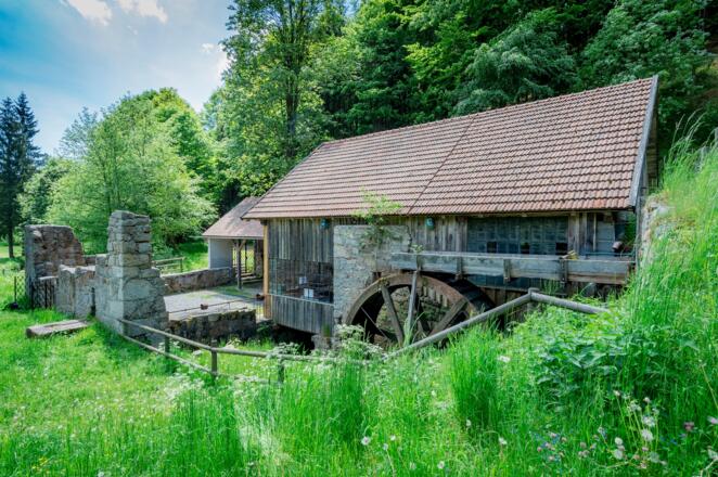 Mühlenrad im Thurytal