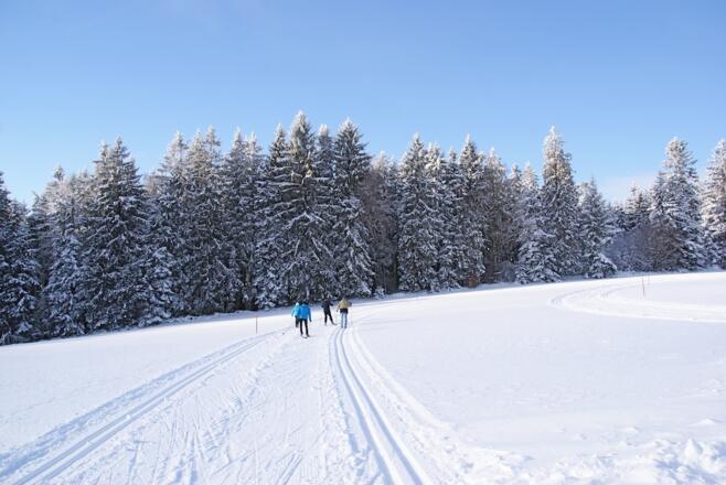 Leichter Anstieg zum Waldrand