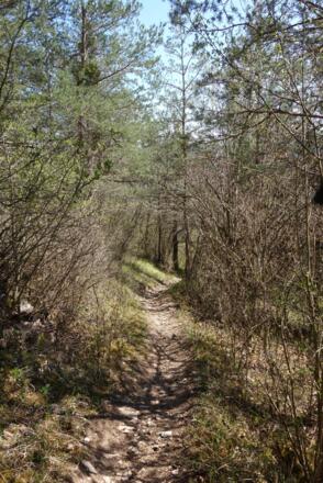 tolle Pfade hinab nach Dietfurt