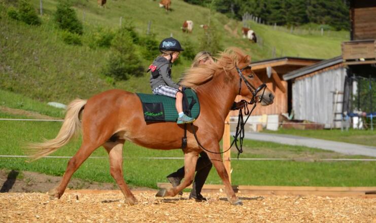 Reiten Paula Rohrmoos