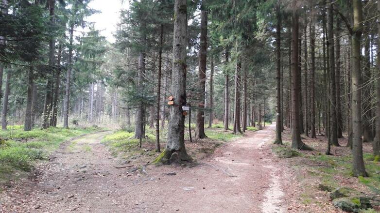 Weggabelung bei Riedern - rechts geht es nach Riedelswald