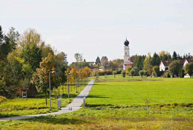 Buja-Allee