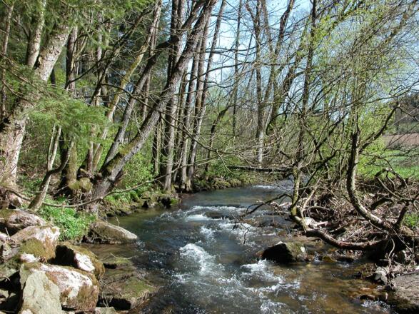 Perlbach vor Buchamühl