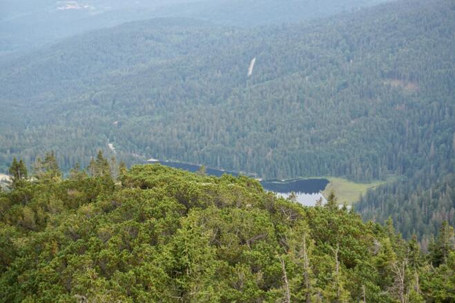 Blick vom Seeriegel zum Gr. Arbersee