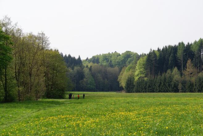 Im Perlbachtal