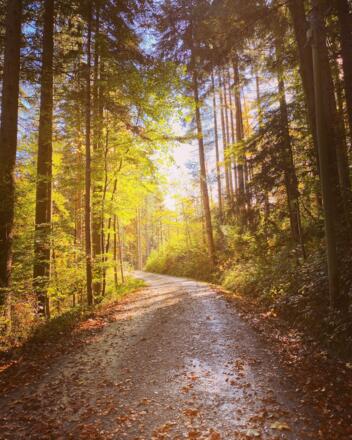 Wanderweg