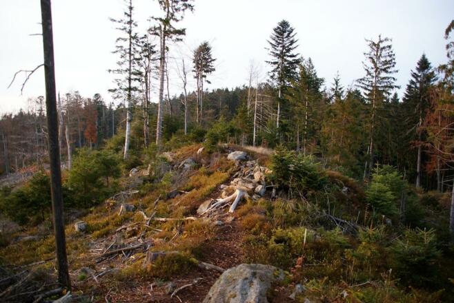 Hadriwa-Höhenweg (Alternativ-Weg)