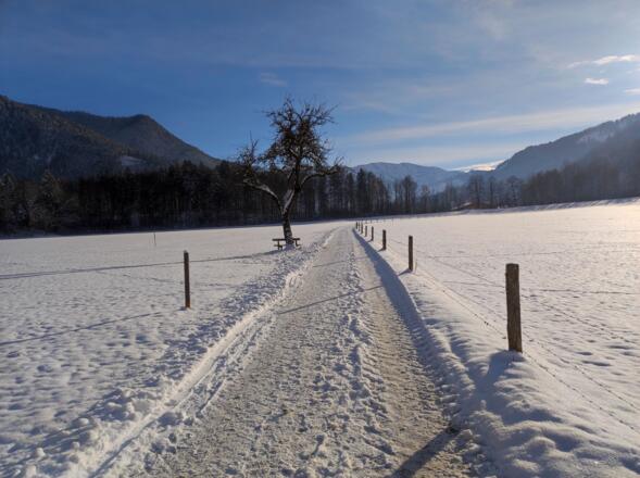 Direkt vor der Haustüre bei Sonnenschein spazieren gehen