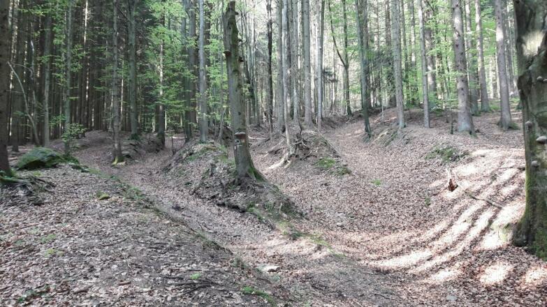 Hohlwege am Beginn der Nagelsteiner Wasserfälle