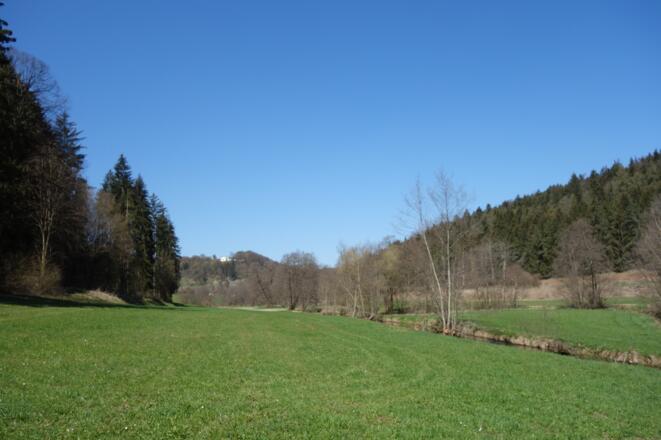 Im Tal der Weißen Laber