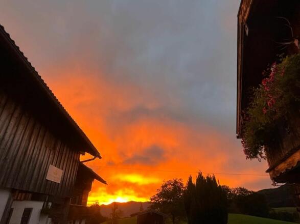 Ausblick