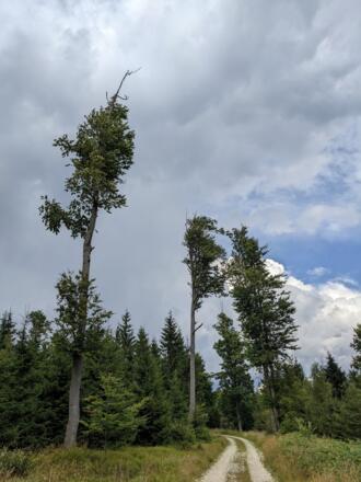 S10_Foto_Haubenberg