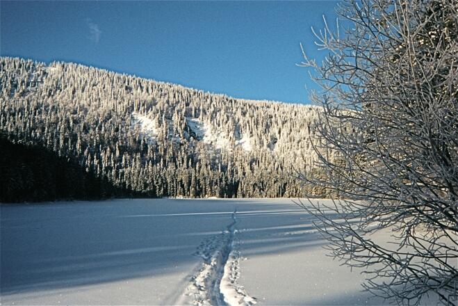 Großer Arbersee mit Blick zur Seewand