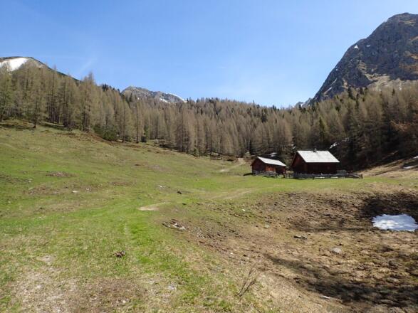 Stockeralm - kaum zu glauben, dass bis kurz vor die Alm noch eine Abfahrt möglich war