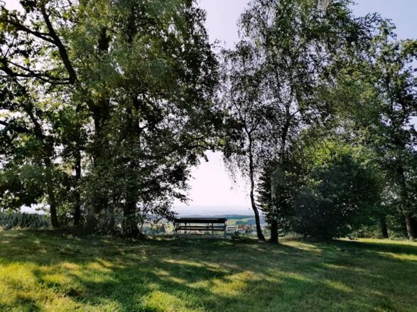 Herzklopfenrunde - Weiserhöhe