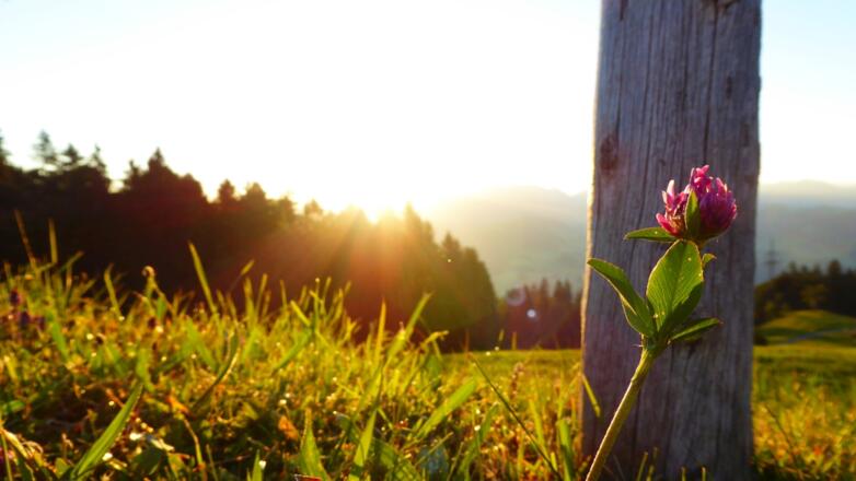 Sonnenaufgang am Brüggelekopf
