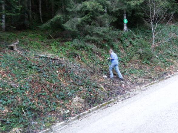 Abzweig von der Branderalmstraße
