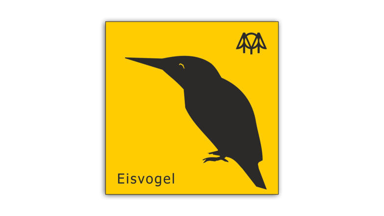 Eisvogel.jpg