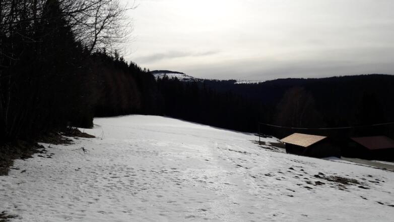 Wiese nach der Mooshütte mit Blick zum Kleinen Arber