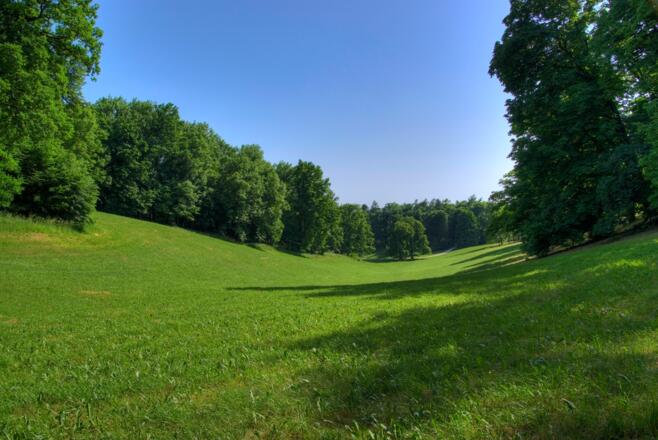Veilchental im Hofgarten - Coburg
