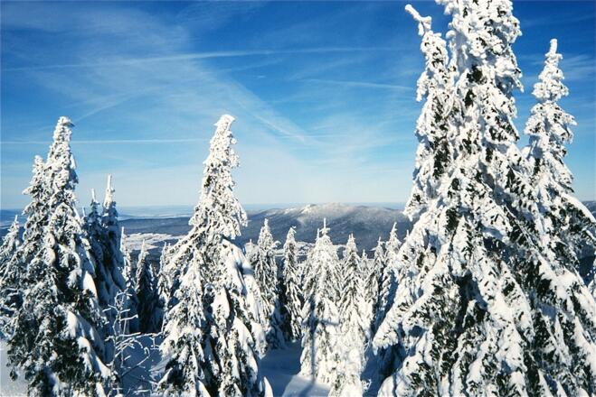 Kleiner Arber - Ausblick zum Osser im Nord-Osten