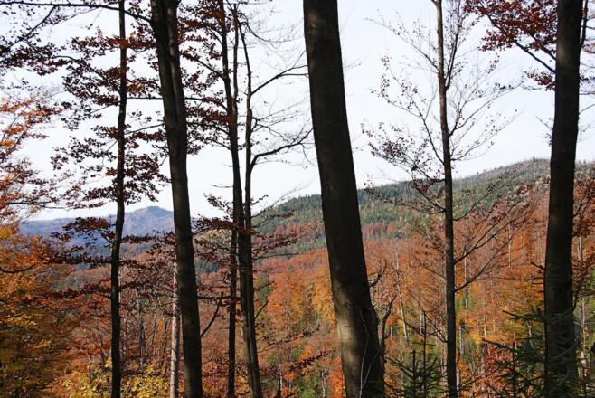 Blick zum Rachel (links)